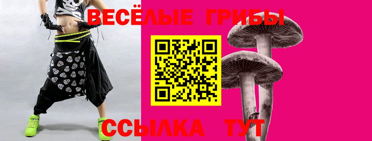 Галлюциногенные грибы Psilocybine cubensis  Вход с VPN  Вичуга 